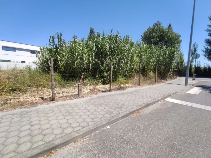 Terreno para Venda em São Bernardo Foto 11