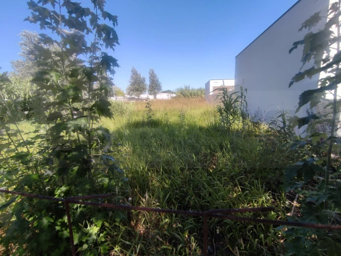 Terreno para Venda em São Bernardo Foto 15