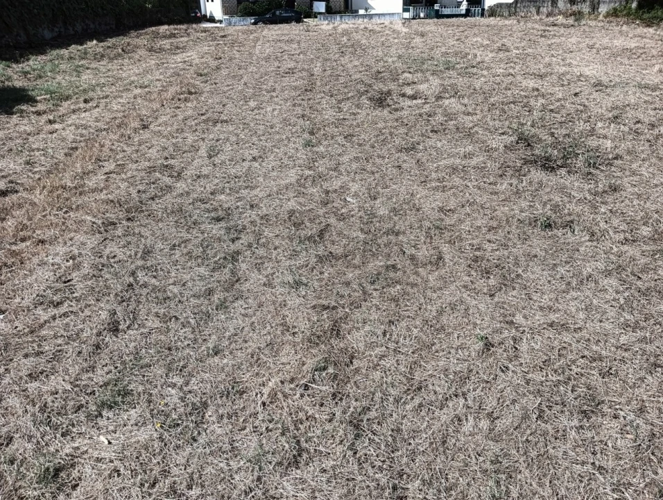Terreno para Venda em Ílhavo (São Salvador) Foto 4