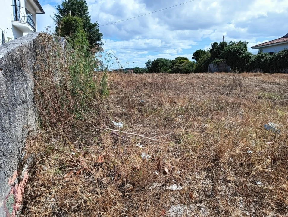 Terreno para Venda em Ílhavo (São Salvador) Foto 14