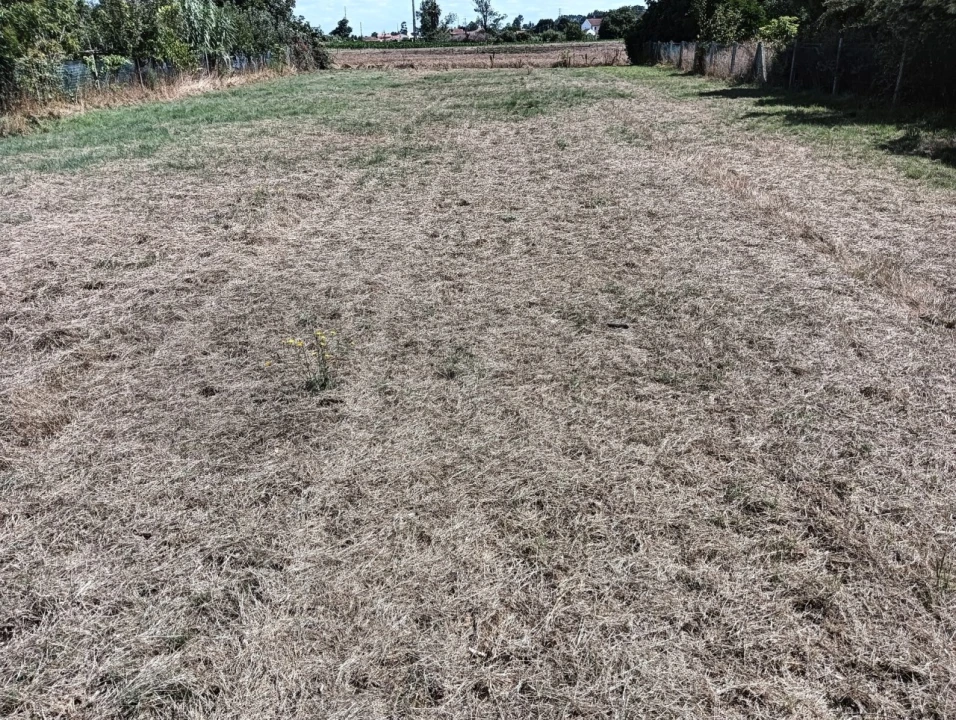 Terreno para Venda em Ílhavo (São Salvador) Foto 19