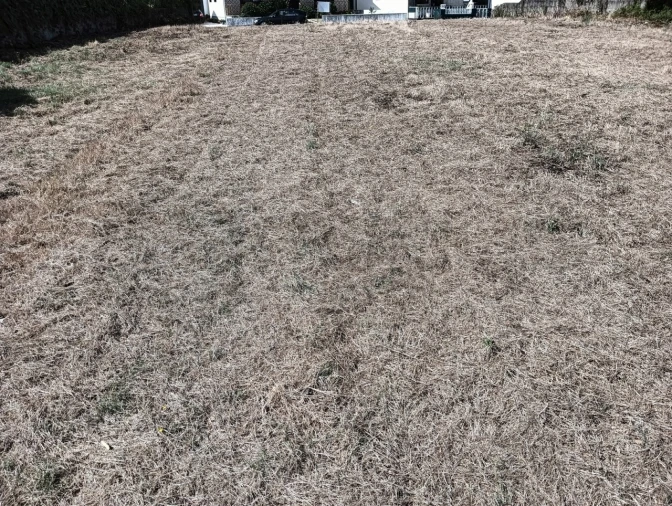 Terreno para Venda em Ílhavo (São Salvador) Foto 4