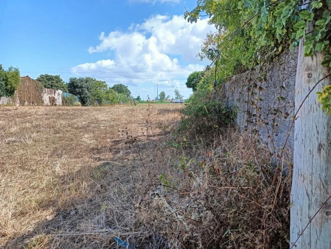 Terreno para Venda em Ílhavo (São Salvador) Foto 9