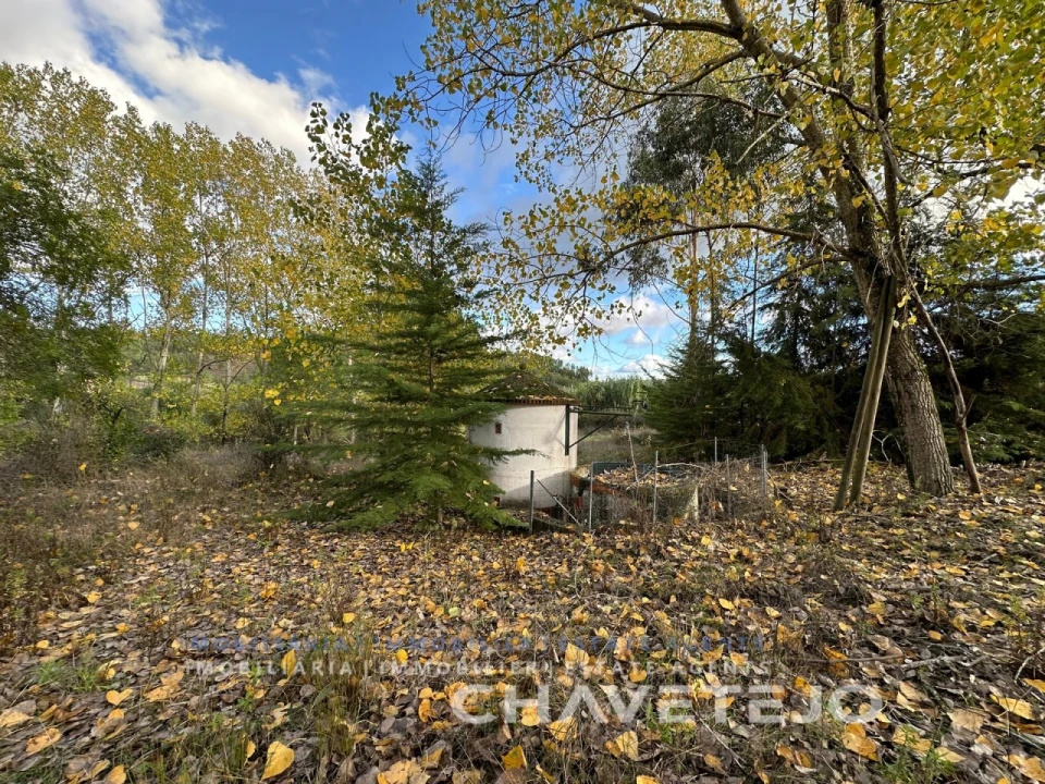 Moradia T2 para Venda em São Pedro de Tomar Foto 9
