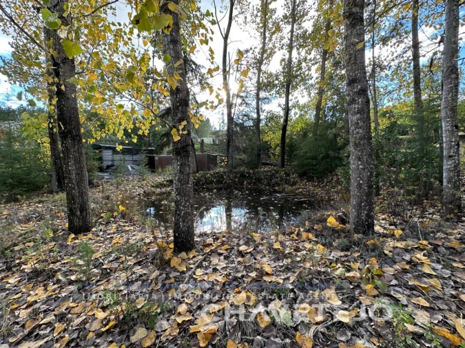 Moradia T2 para Venda em São Pedro de Tomar Foto 27