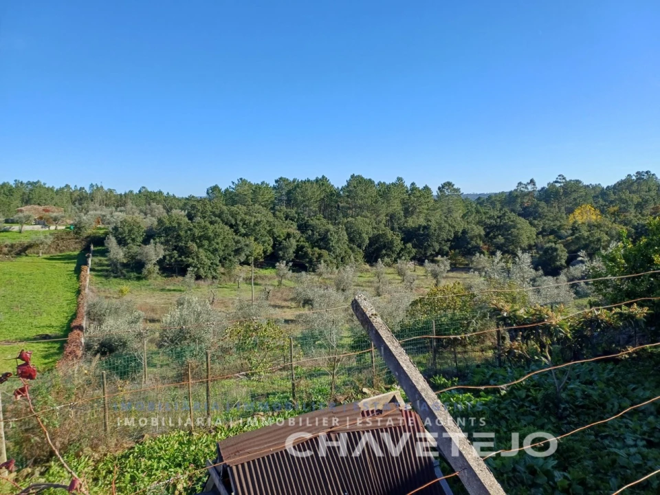 Quinta T3 para Venda em Cernache do Bonjardim, Nesperal e Palhais Foto 9