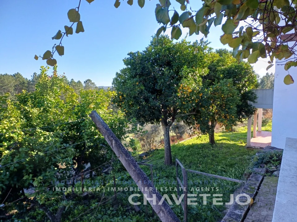 Quinta T3 para Venda em Cernache do Bonjardim, Nesperal e Palhais Foto 10