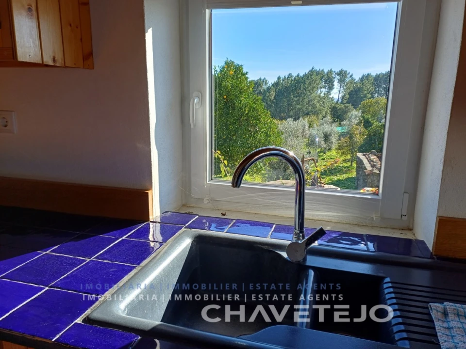 Quinta T3 para Venda em Cernache do Bonjardim, Nesperal e Palhais Foto 39