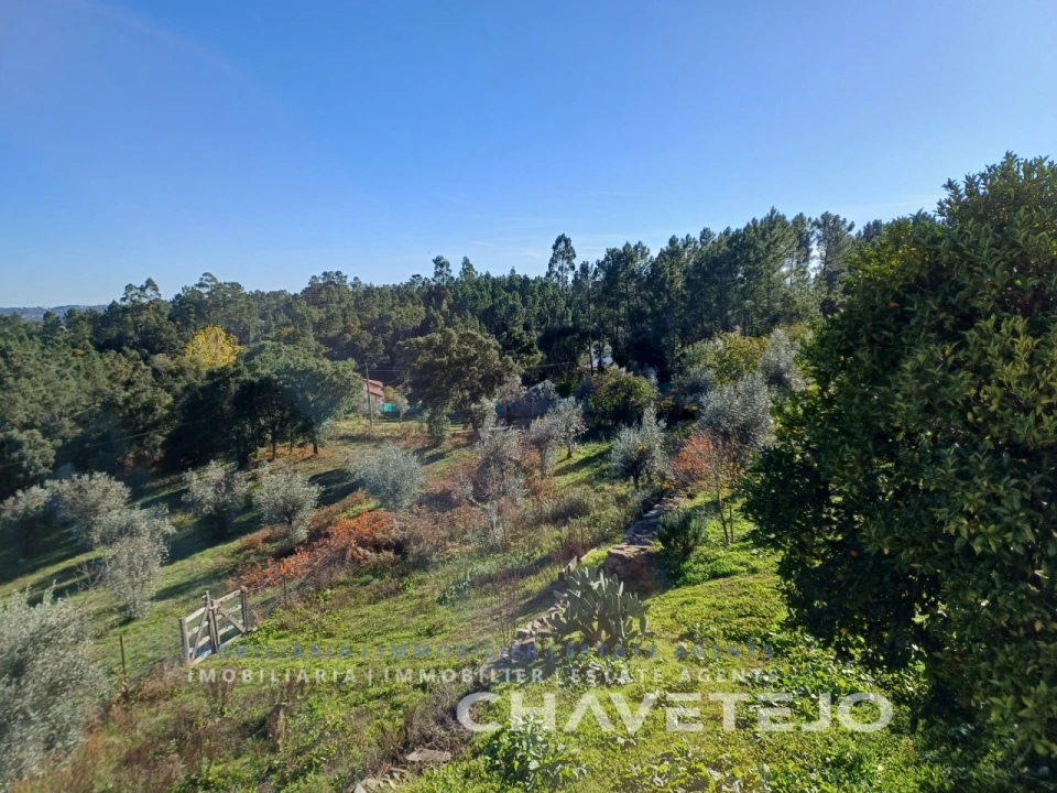 Quinta T3 para Venda em Cernache do Bonjardim, Nesperal e Palhais Foto 44