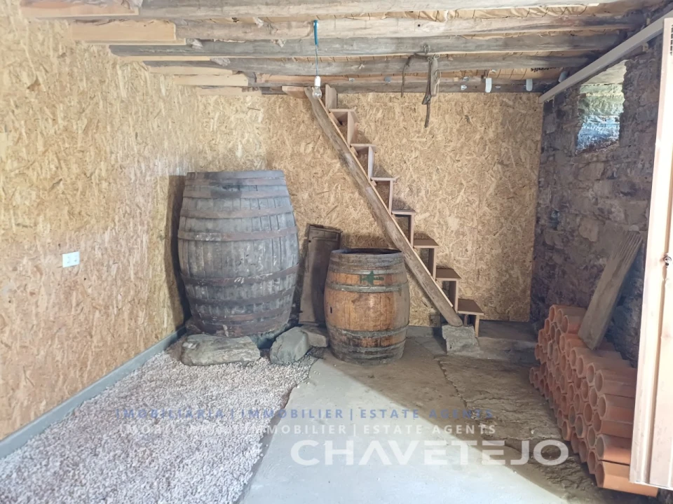 Quinta T3 para Venda em Cernache do Bonjardim, Nesperal e Palhais Foto 53