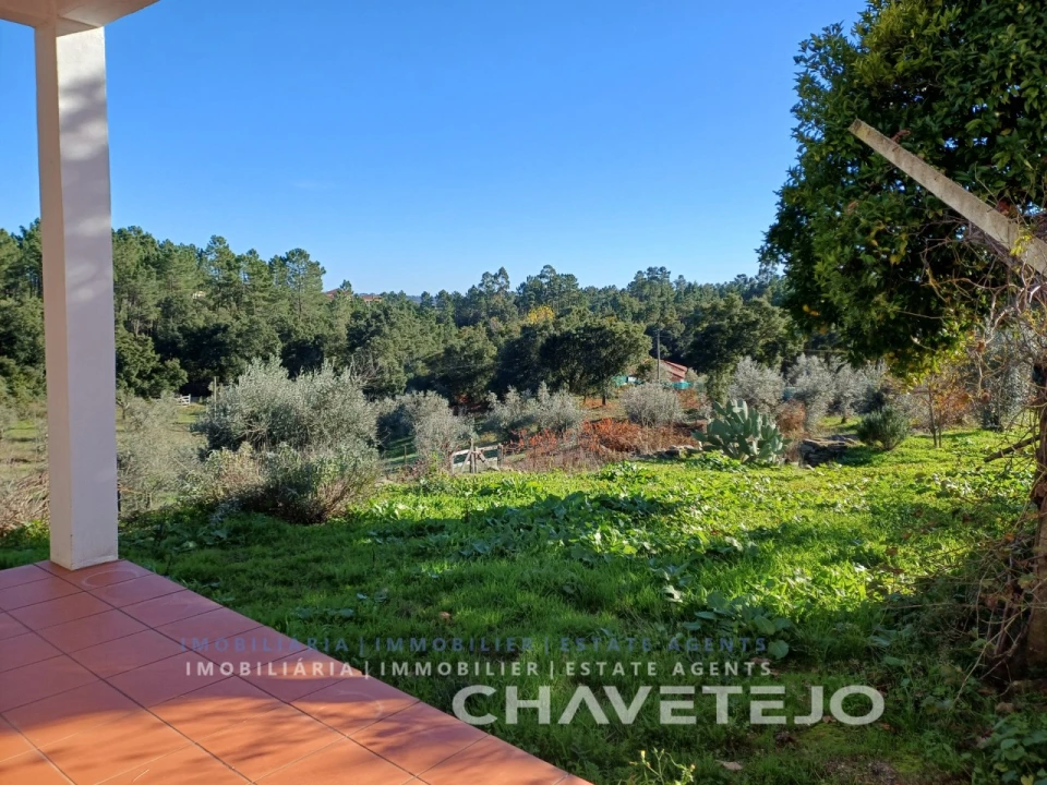 Quinta T3 para Venda em Cernache do Bonjardim, Nesperal e Palhais Foto 57