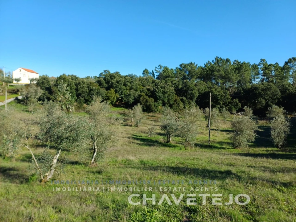 Quinta T3 para Venda em Cernache do Bonjardim, Nesperal e Palhais Foto 72