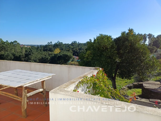 Quinta para Venda em Cernache do Bonjardim, Nesperal e Palhais Foto 40