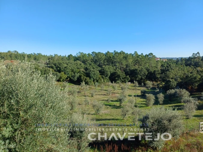 Quinta para Venda em Cernache do Bonjardim, Nesperal e Palhais Foto 43