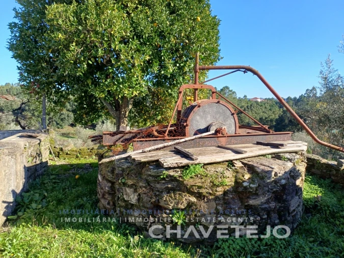 Quinta para Venda em Cernache do Bonjardim, Nesperal e Palhais Foto 67