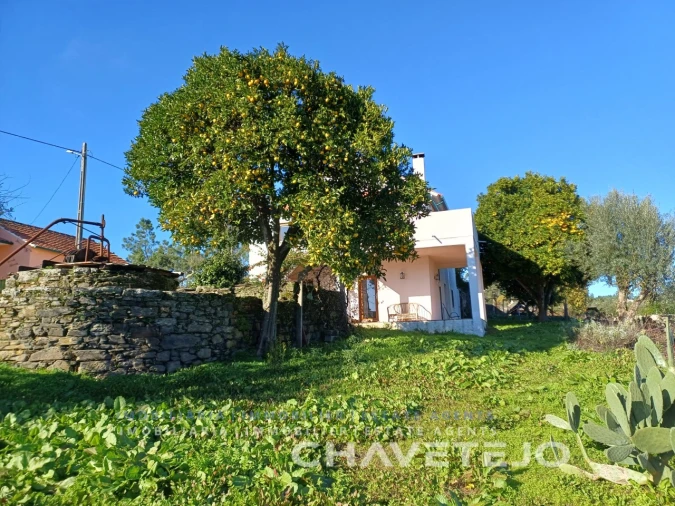 Quinta para Venda em Cernache do Bonjardim, Nesperal e Palhais Foto 69