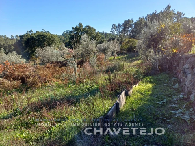Quinta para Venda em Cernache do Bonjardim, Nesperal e Palhais Foto 71