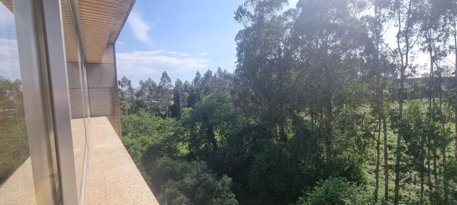 Apartamento T3 para Venda em Moreira Foto 3