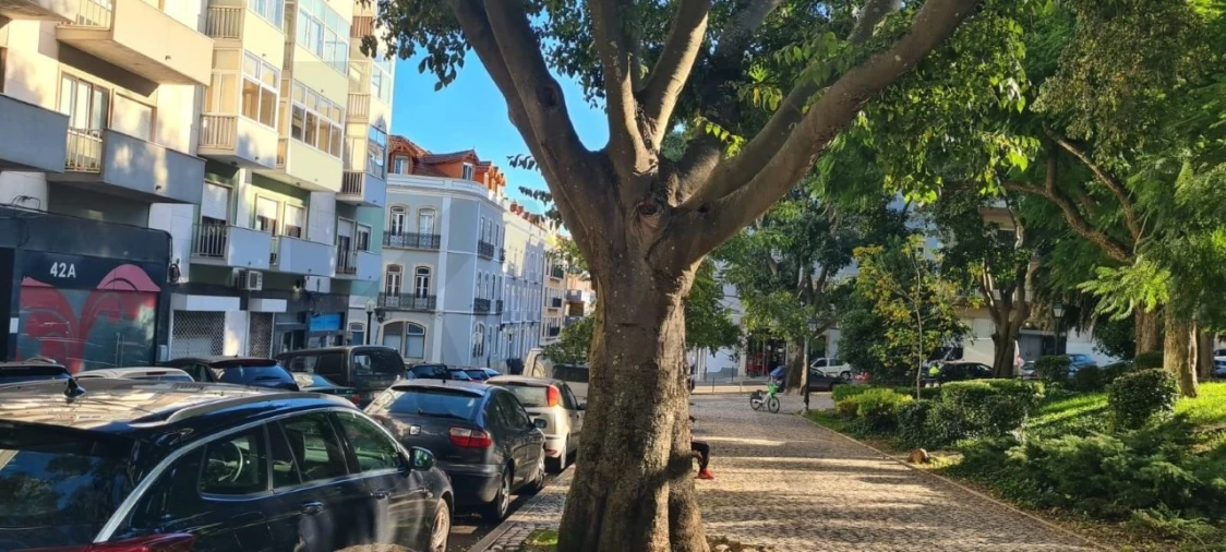 Loja para Venda em Alcantara Foto 18