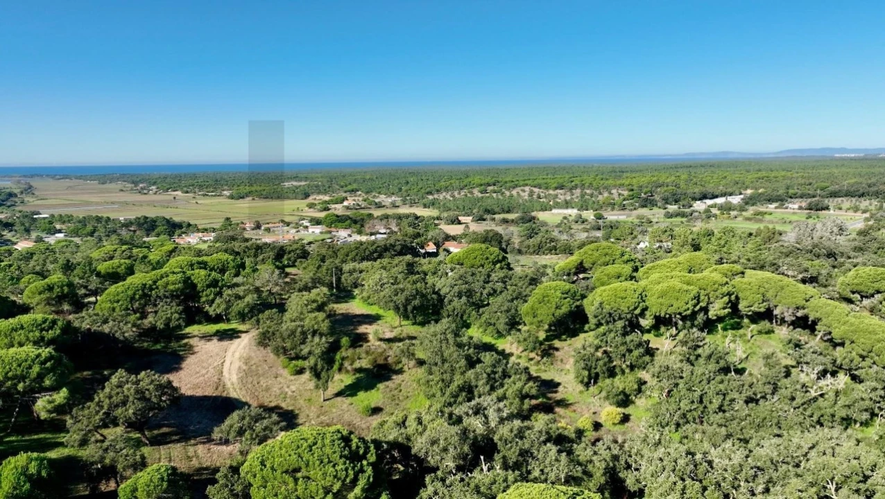 Quinta T2 para Venda em Melides Foto 15