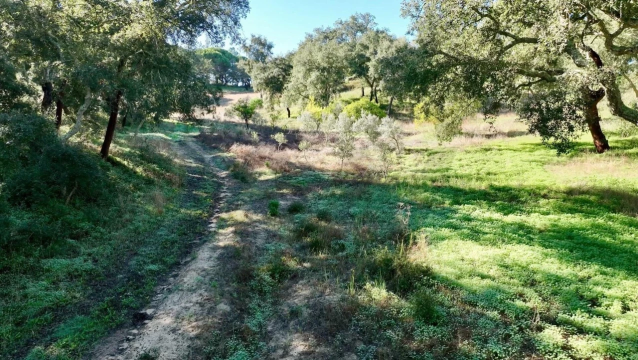 Quinta T2 para Venda em Melides Foto 9
