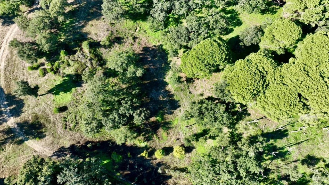 Quinta T2 para Venda em Melides Foto 13