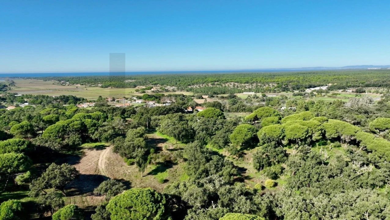 Quinta T2 para Venda em Melides Foto 15