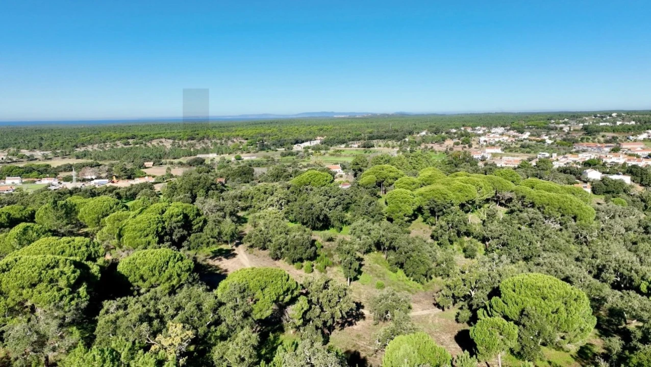 Quinta T2 para Venda em Melides Foto 16