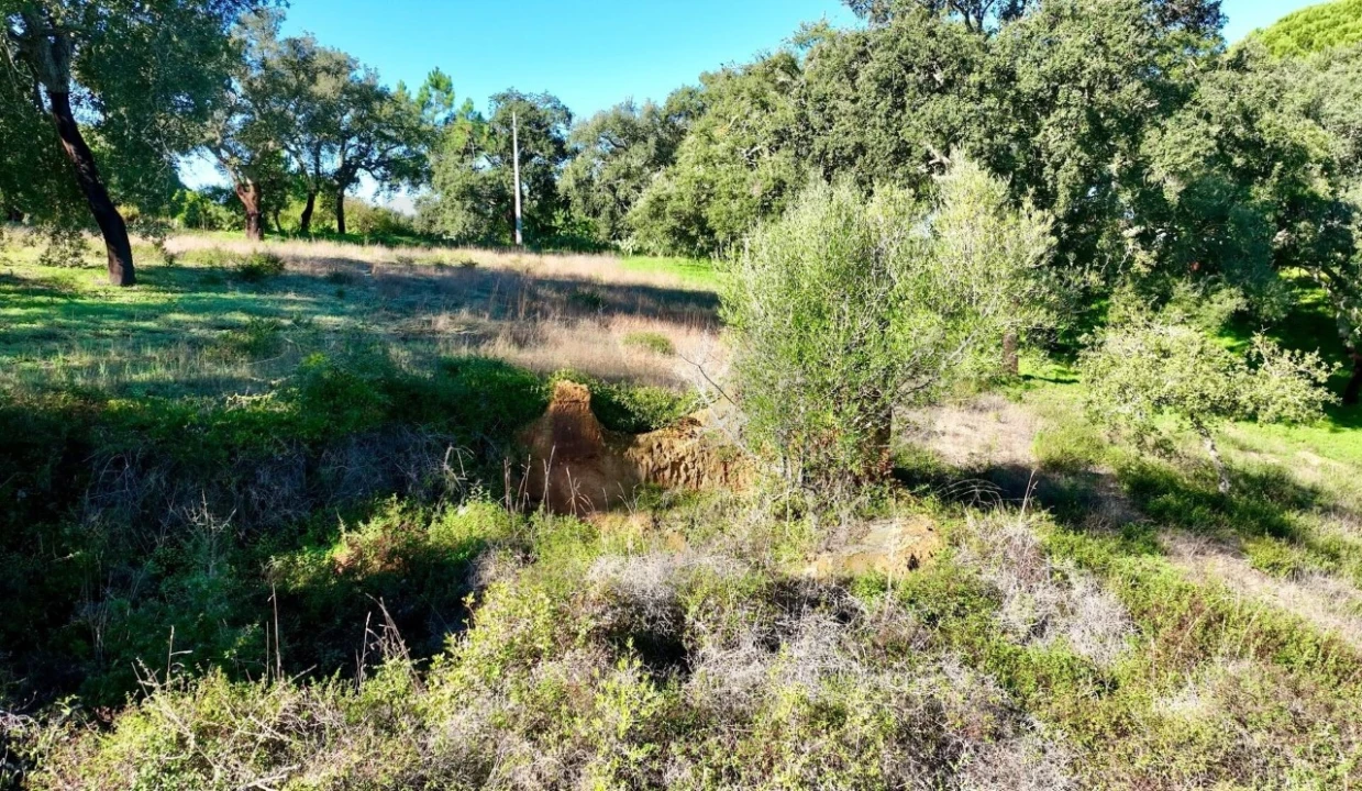 Quinta T2 para Venda em Melides Foto 9