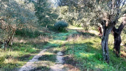 Quinta T2 para Venda em Melides