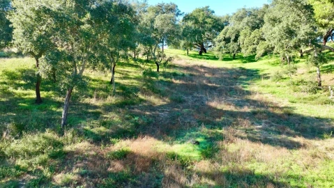 Quinta T2 para Venda em Melides
