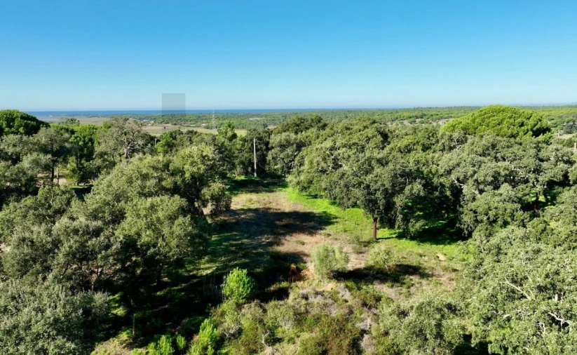 Quinta T2 para Venda em Melides Foto 3