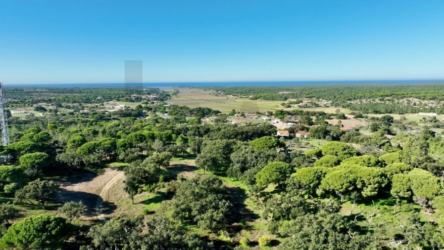 Quinta T2 para Venda em Melides Foto 14