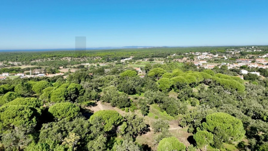 Quinta T2 para Venda em Melides Foto 16