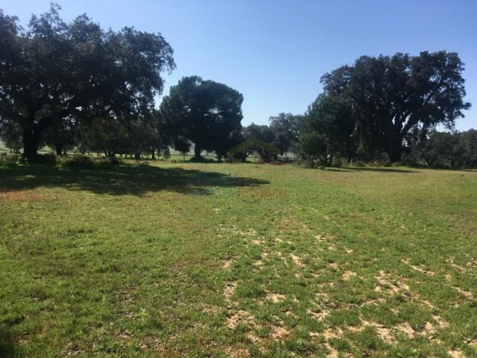 Terreno para Venda em Poceirão e Marateca Foto 15