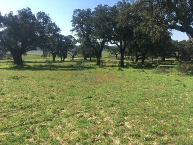 Terreno para Venda em Poceirão e Marateca Foto 10