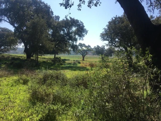Terreno para Venda em Poceirão e Marateca Foto 6
