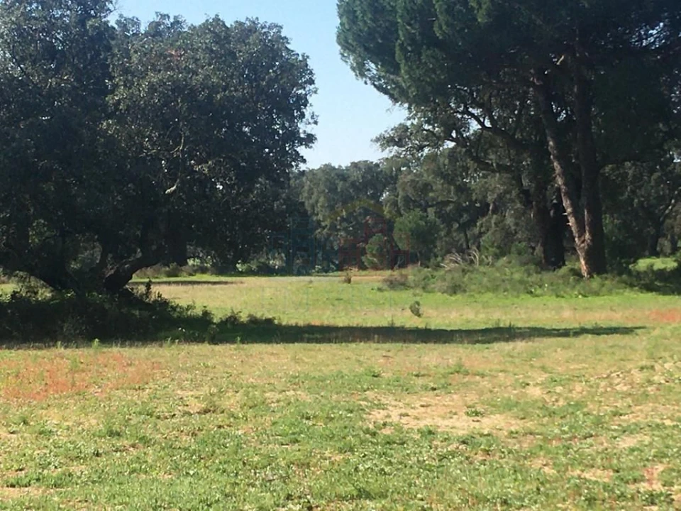 Terreno para Venda em Poceirão e Marateca Foto 18