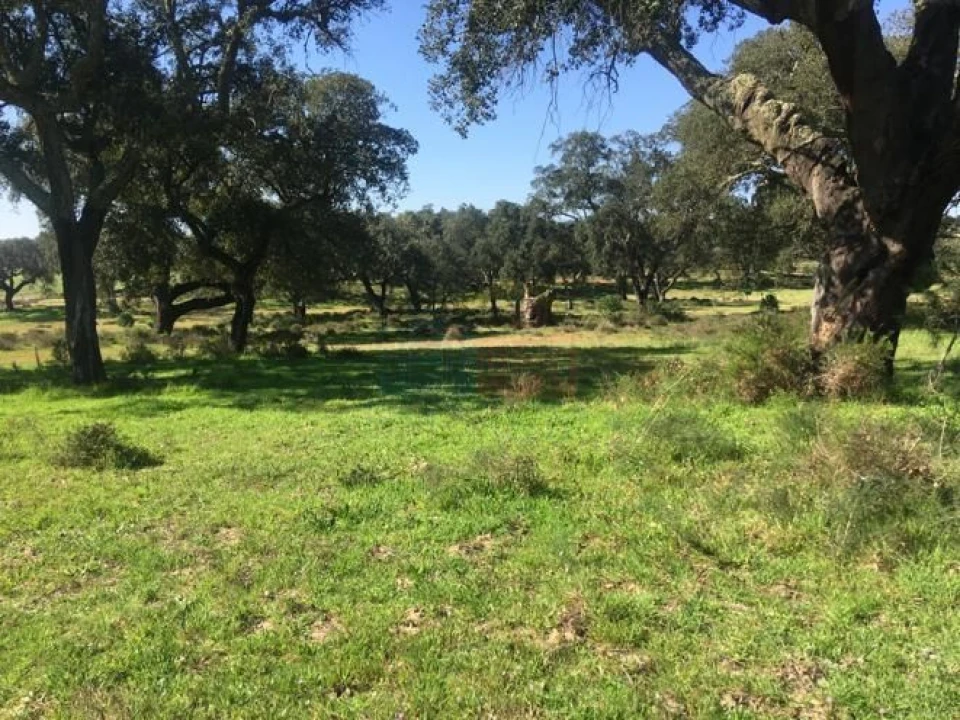 Terreno para Venda em Poceirão e Marateca Foto 2