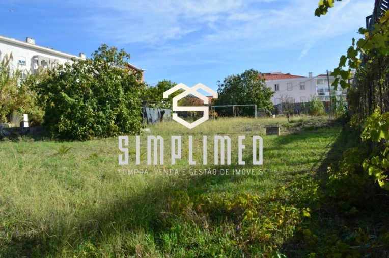 Terreno para Venda em Ajuda Foto 2