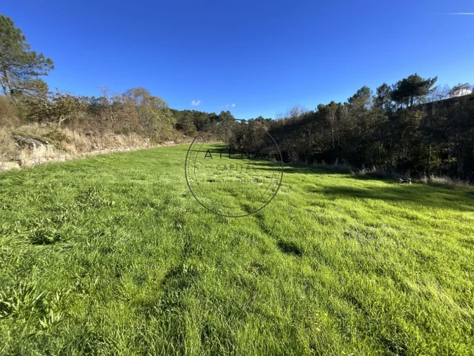 Quinta T4 para Venda em Mondrões Foto 13