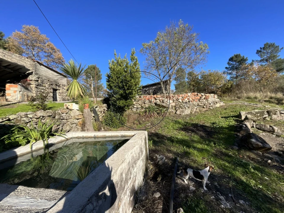 Quinta T4 para Venda em Mondrões Foto 10