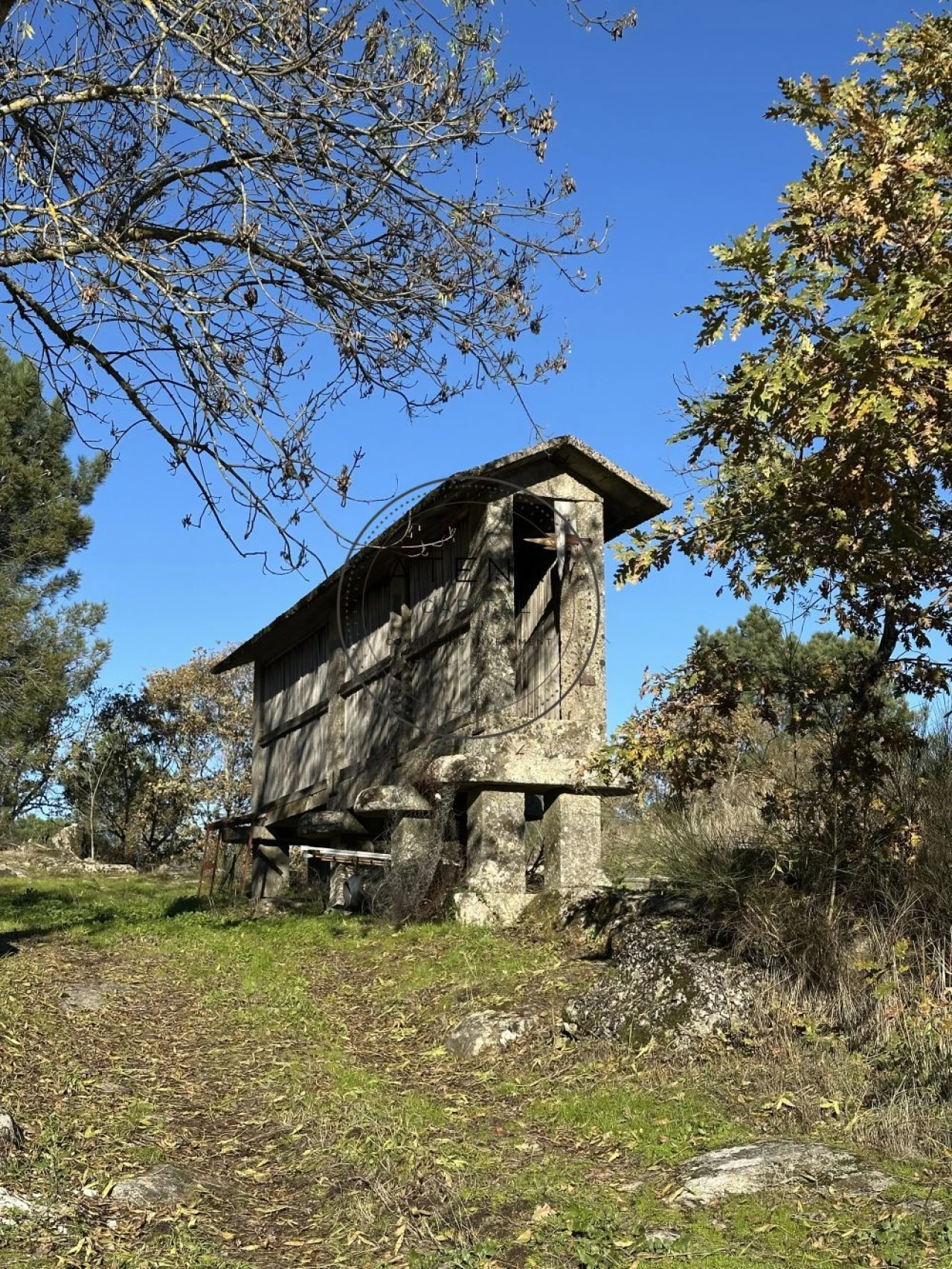 Quinta T4 para Venda em Mondrões Foto 3