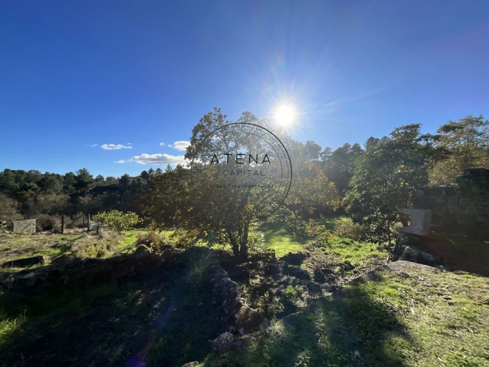 Quinta T4 para Venda em Mondrões Foto 8