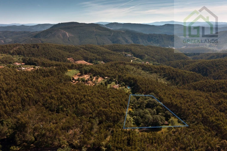 Quinta T2 para Venda em Beco Foto 22