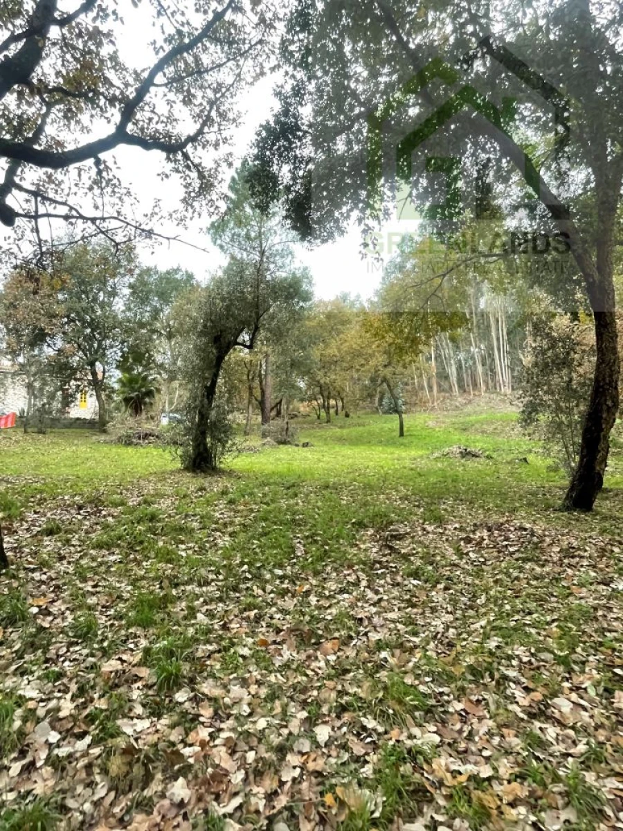 Quinta T2 para Venda em Beco Foto 30