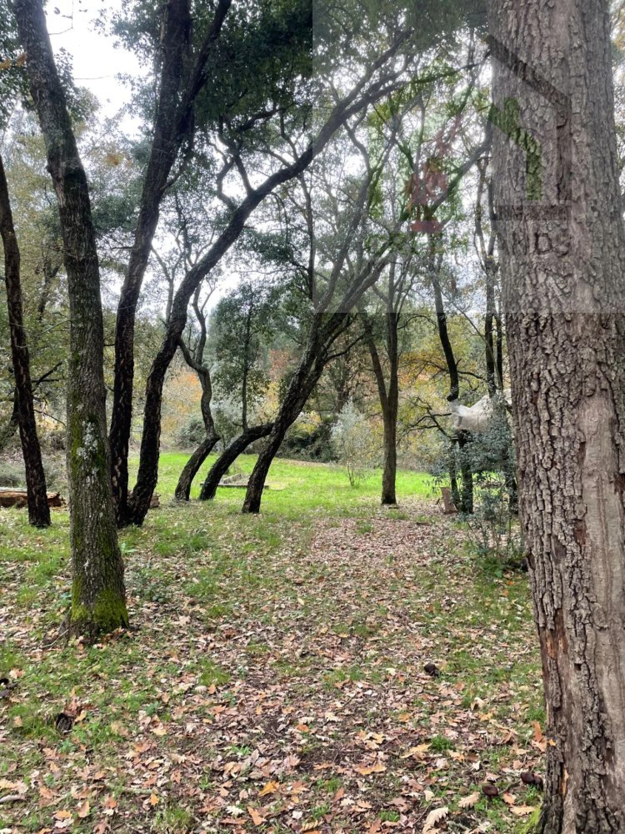 Quinta T2 para Venda em Beco Foto 28