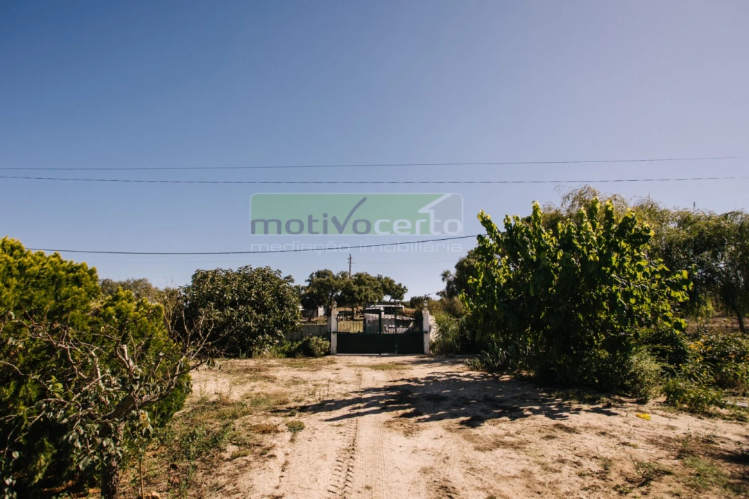 Moradia T4 para Venda em Coruche, Fajarda e Erra Foto 35