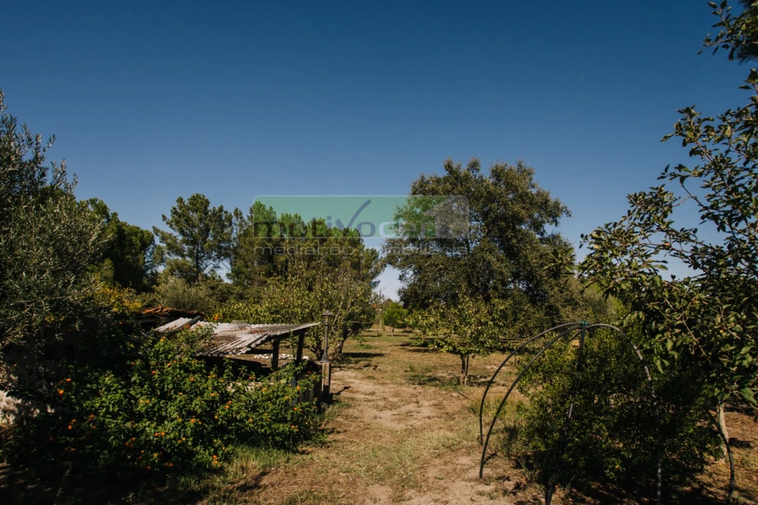 Moradia T4 para Venda em Coruche, Fajarda e Erra Foto 42