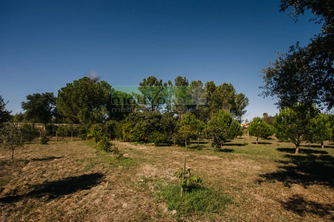 Moradia T4 para Venda em Coruche, Fajarda e Erra Foto 43